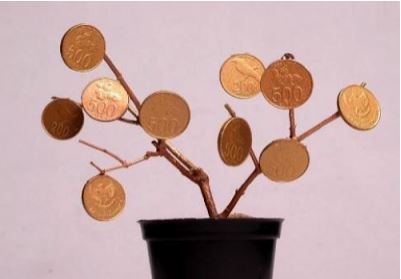 Trik Rahasia Tidak Pernah Kalah Main Judi / Taruhan